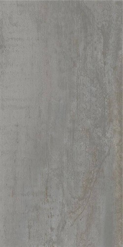 Tile Acier Silver Mt Rect 60x120 cm